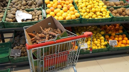 Молдова вводит стандарты ЕС в сфере контроля качества свежих фруктов и овощей