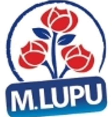 Vlad Plahotniuc şi Victor Ponta au conturat perspectivele colaborării Partidului Democrat din Moldova cu Partidul Social Democrat din România