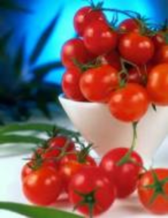 Привлечение инвестиций в АПК  ПМР может создать реальные условия   для формирования «Агрохолдингов»