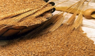 Молдова экспортирует в Египет 700 тонн пшеницы