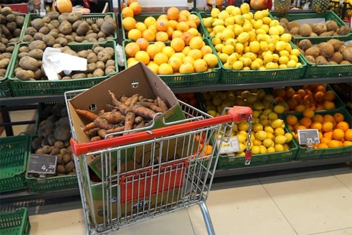 Молдова вводит стандарты ЕС в сфере контроля качества свежих фруктов и овощей