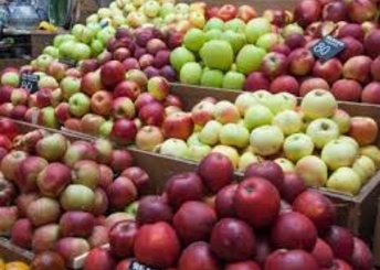 Россия частично отменила эмбарго на ввоз молдавских фруктов