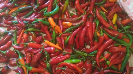 Колкий коммент тележки