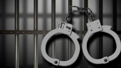 Федор Гелич арестован на месяц