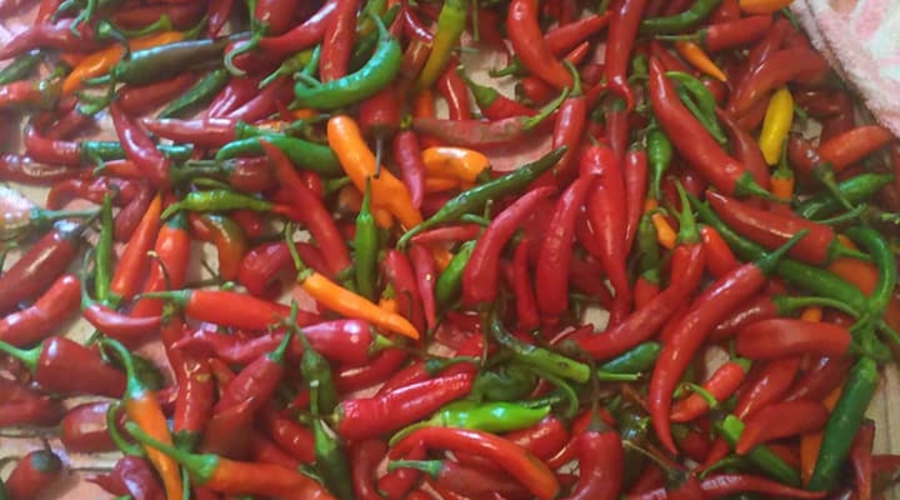 Колкий коммент тележки