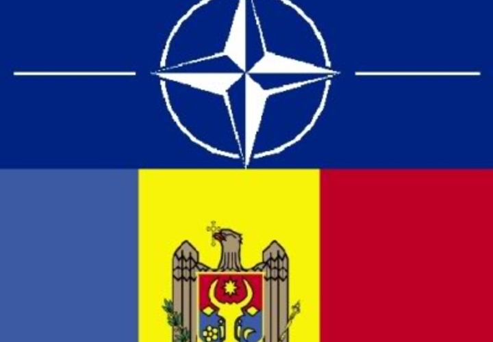 НАТО знает как решить наши проблемы