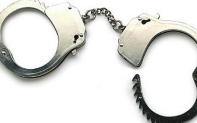 Примары сел Бурсук и Цамбула задержаны сотрудниками ЦБЭПК