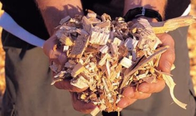 29 школ и детсадов на юге Молдовы будут отапливаться биомассой