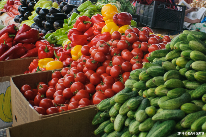 Коррупционные схемы в сельском хозяйстве препятствуют развитию отрасли, заявления