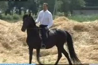 Филат любит лошадей. Министры полюбили лошадей…