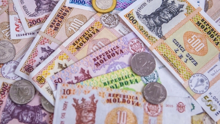 Портрет молдавского вкладчика