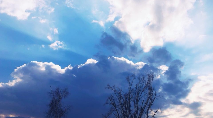 Выходцы из Молдовы ничуть не лучше своих земляков. Но их поощряют