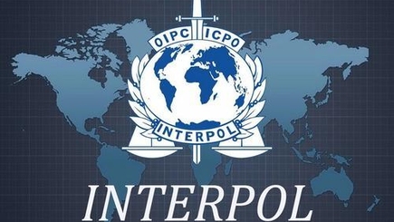 Бюрократия мешает даже Интерполу?