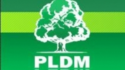 Либерально-демократическая партия Молдовы (ЛДПМ). Досье