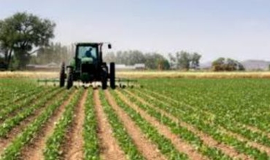 ЕК выделит 64 млн. евро на развитие сельского хозяйства РМ