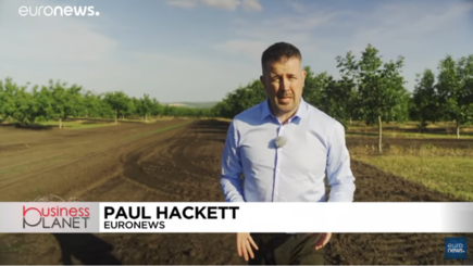 ЕС помогает Молдавии выращивать орехи