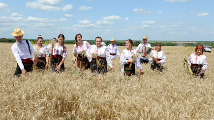 Намик АЛИЕВ: 