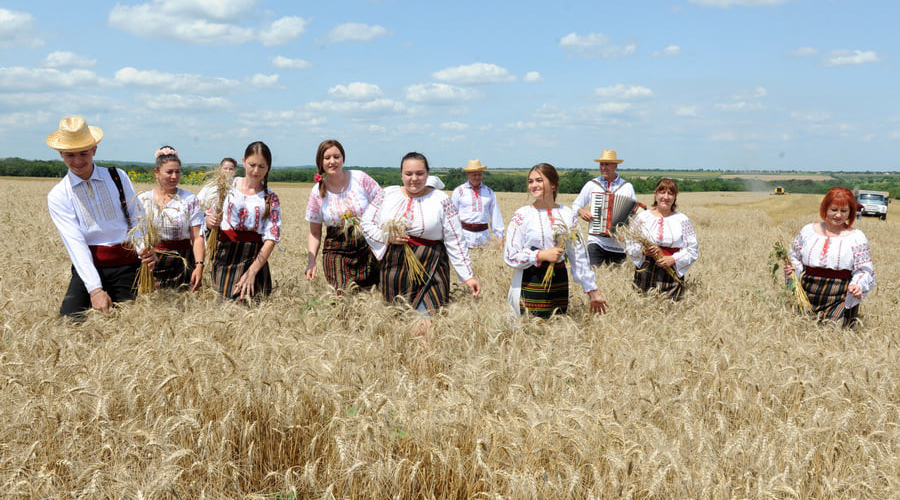 Намик АЛИЕВ: 