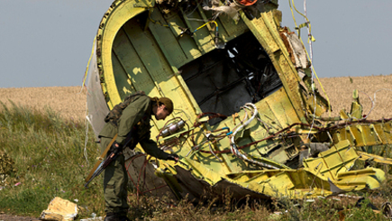 Нидерланды подадут иск против России из-за сбитого над Донбассом Boeing MH17