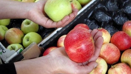 Всемирный банк предоставит РМ $12 млн. на компенсации для аграриев