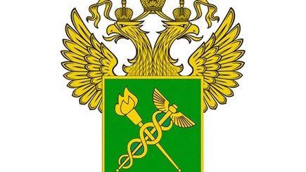 Сообщение Федеральной таможенной службы России. Внимание: с 17 июня вводится обязательное предварительное информирование