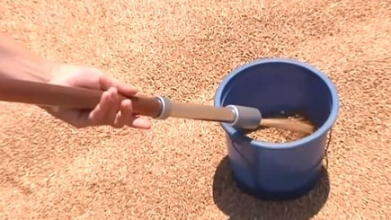 350 тонн «гуманитарной» пшеницы бесследно исчезли в Гагаузии