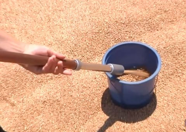 350 тонн «гуманитарной» пшеницы бесследно исчезли в Гагаузии