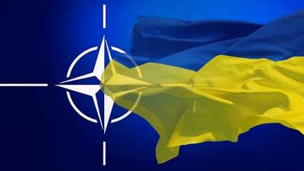 Двери НАТО открыты для членства Украины, - замгенсекретарь альянса