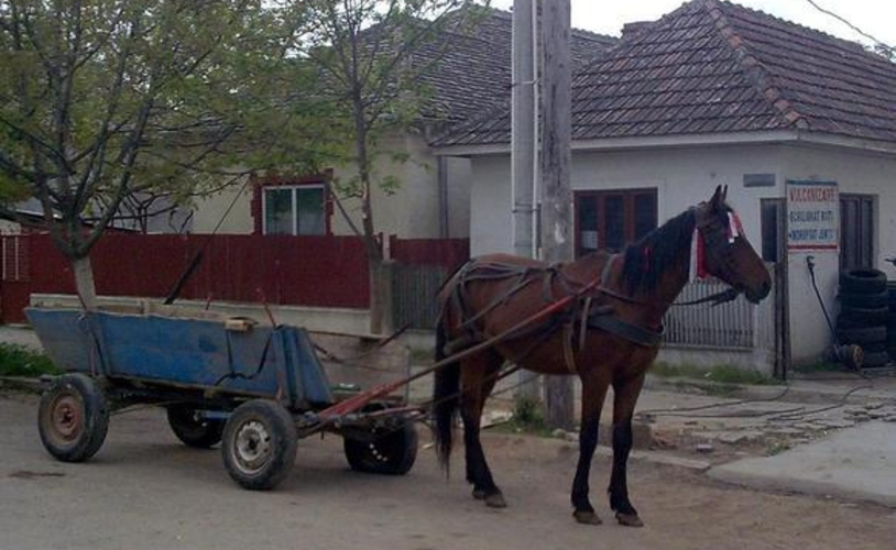 Повозки пронумеруют