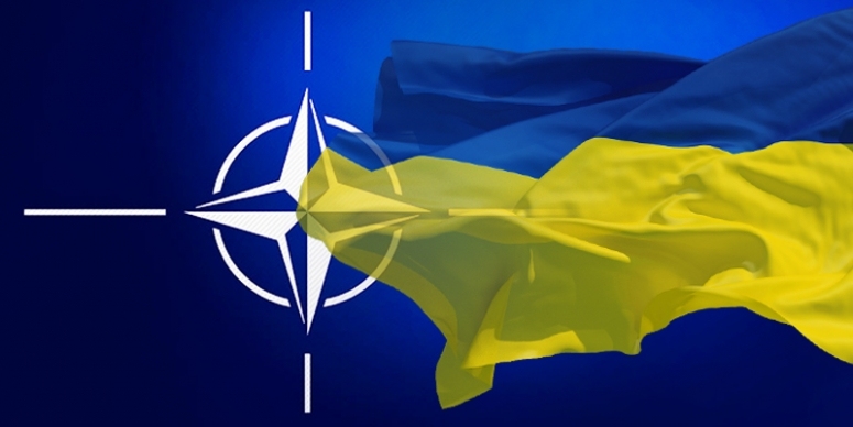 Двери НАТО открыты для членства Украины, - замгенсекретарь альянса