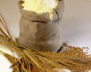 В Приднестровье поступила продовольственная гуманитарная помощь из России