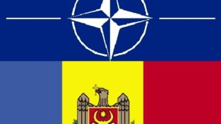 НАТО знает как решить наши проблемы