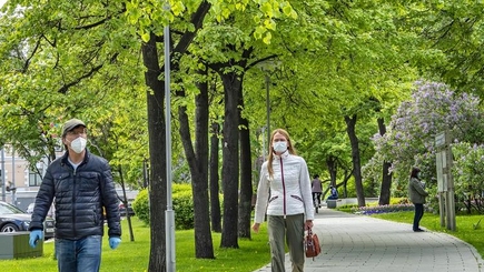 Ежегодно выявляют 5 тысяч психов