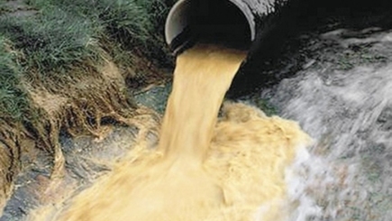 Грязь от  Санду. Разочарован