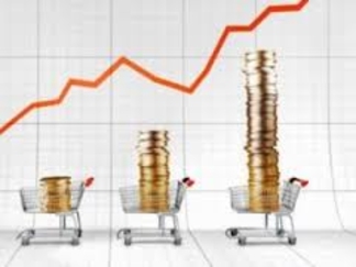 Инфляция в этом году составит 4,9%