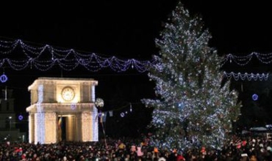 Выбрана главная кишиневская новогодняя елка