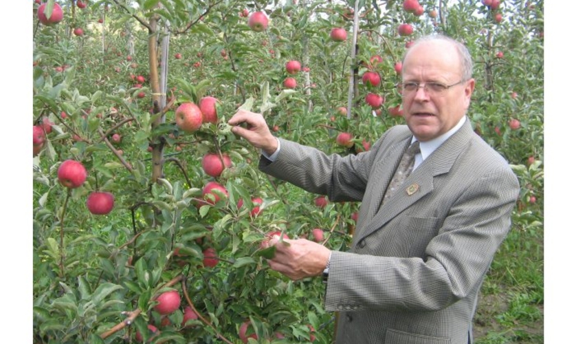 Валериан Балан: «Садоводство может стать катализатором аграрного сектора»