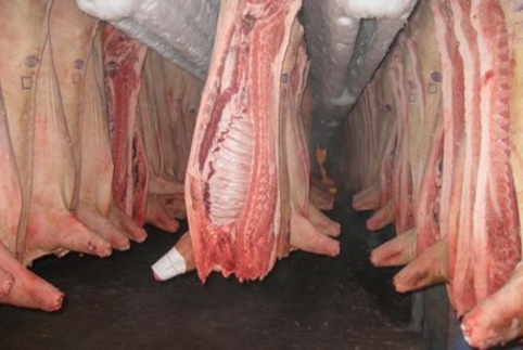 РФ запретила поставки свиной продукции из РМ