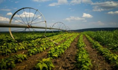 Сельское хозяйство РМ развивается благодаря проектам Всемирного банка