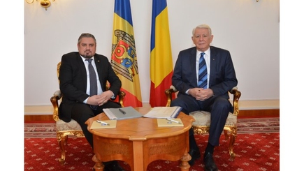 Теодор Мелешкану: 