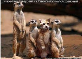 Сколько во власти засланных казачков?