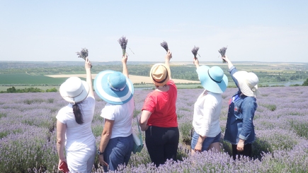 Д.Барбалат и его доводы по поводу ликвидации Аграрного университета Молдовы