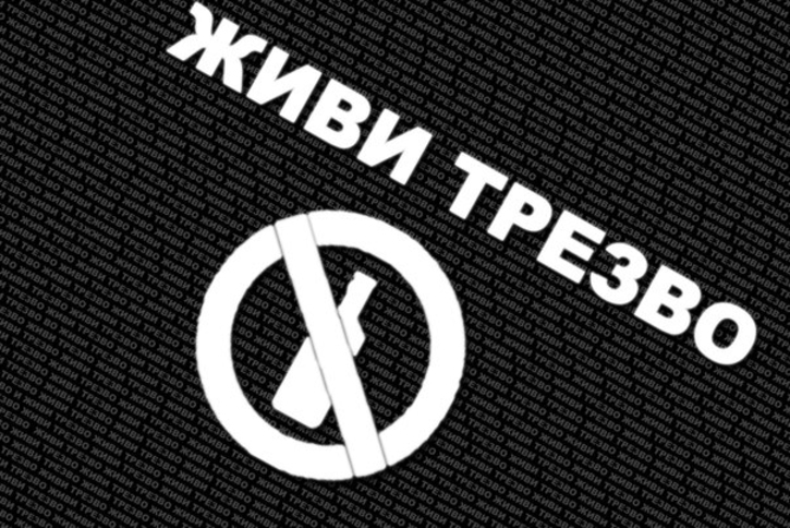 Владимир Воронин призывает молодых политиков к трезвому образу жизни