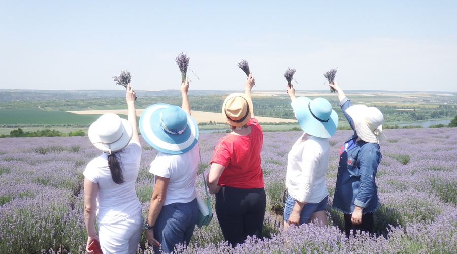 Д.Барбалат и его доводы по поводу ликвидации Аграрного университета Молдовы