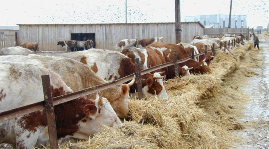 В Молдове  будет проведена сельскохозяйственная перепись