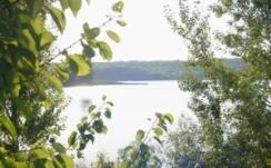 На территории ПМР произрастает более 1000 видов растений