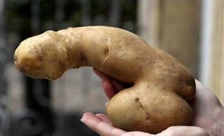 В Россию не впустили  картофель из Молдовы