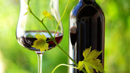 Молдавские вина были представлены в Канаде