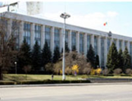 Политики считают Зинаиду Гречаной наиболее подходящей кандидатуру на должность премьер-министра