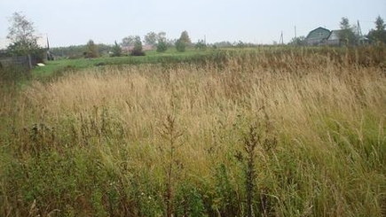 В нашем сельском хозяйстве  дела обстоят все хуже и хуже…